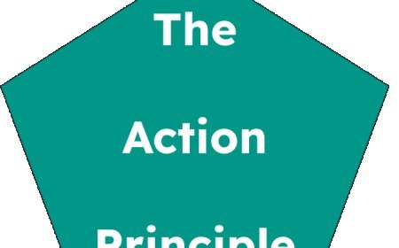The Action Principle: Empowering Leadership Through Assertiveness, Courage, Tenacity, Initiative, Open-mindedness, and Nimbleness