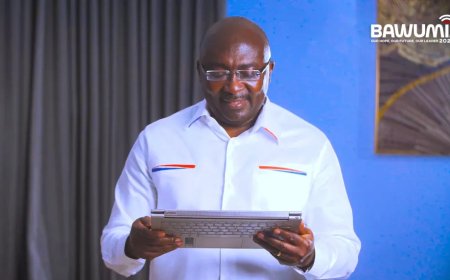 Dr. Mahamudu Bawumia's Credit Scoring System - What You Need To Know!