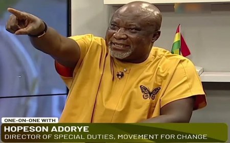 Okyehene Lawsuit Targets Alan's Campaign and Aims to Silence Me on "Agyapadie" - Hopeson Adorye