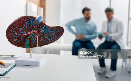 Common Types of Liver Diseases, Causes, and Stages of Chronic Liver Disease