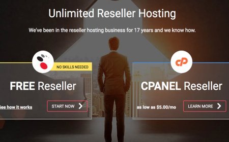 Start Your Own Web Hosting Company with Zero or Minimal Capital