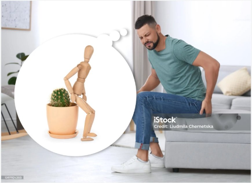 Piles (Kooko) Treatment Medicinal Supplement in Ghana