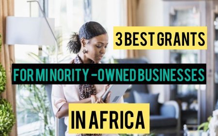 3 Best Grants For Minority Owned Businesses In Africa