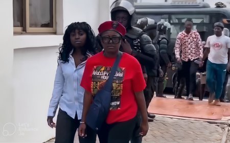 Accra High Court grants Ama Governor and Eight Others Bail in Galamsey Protest Case