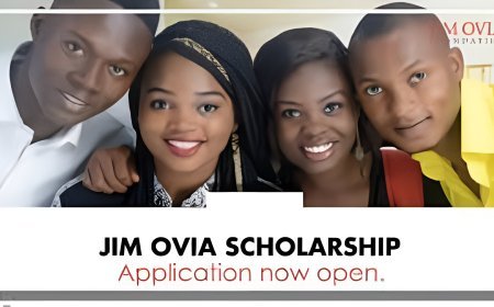 The Jim Ovia Scholarship: Eligibility And Application Procedure