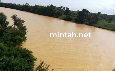 Whatever the Outcomes of Galamsey, Get Ready to Pay the Price.