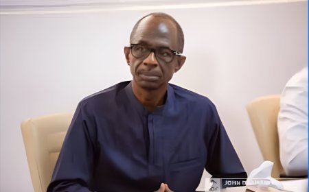 NDC Stands Firm Against Attempts to Disenfranchise Ghanaians in Togo