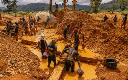 Food exports from Ghana are in jeopardy, an engineer says