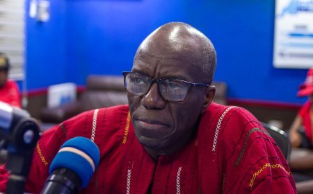 Presidential Candidate: "I will shift Galamsey people into industrial hemp cultivation as an alternative livelihood."