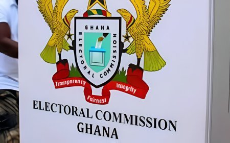 EC Releases Provisional Ballot Statistics For 2024 Elections