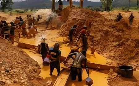 20 Galamseyers Apprehended At New Abirem