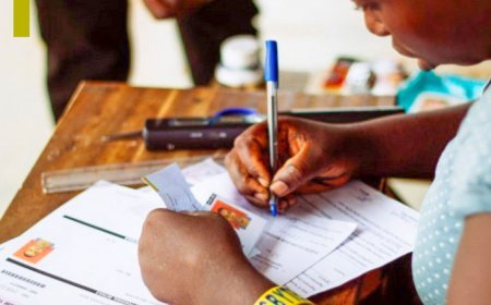 Today marks the start of the online display of the provisional voter's registration