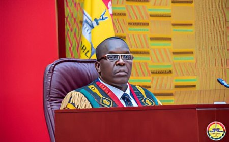 Speaker Defers Decision On Petition To Declare Four Parliamentary Seats Vacant