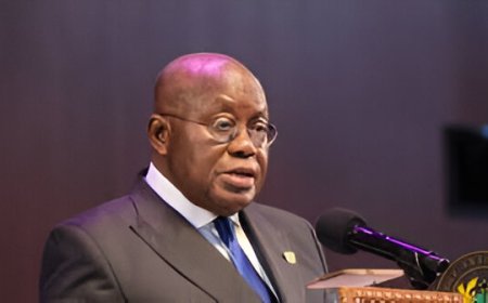 Akufo Addo: I Have Taken Political Risks To Fight Against Galamsey