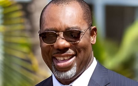 NAPO: The Introduction Of Free SHS Has Not Diminished The Quality Of Education