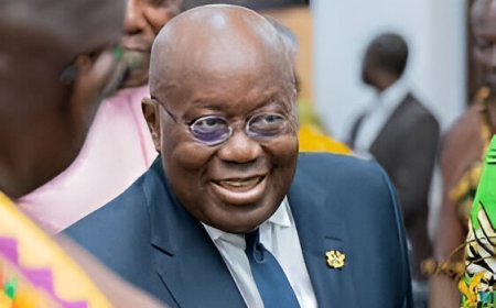 Akufo-Addo Supports Shirley Ayorkor Botchwey's Candidature for Commonwealth Secretary-General