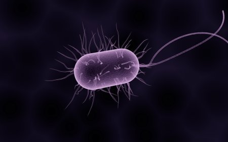 Kpone-Katamanso verifies two cases of cholera