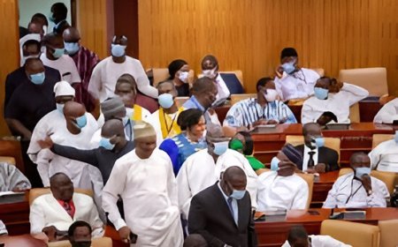 NPP MPs Walk Out of Parliament Amidst Majority Dispute 