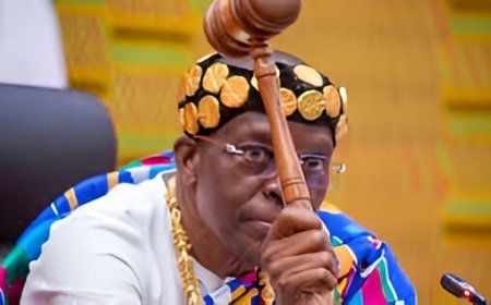 Speaker Adjourns House Indefinitely