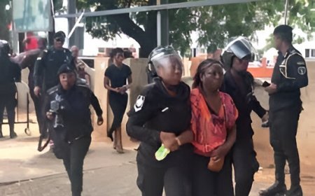 Seven Democracy Hub Protesters Acquitted