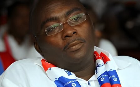Bawumia's Bold Claim: 33 Impactful Policies against Mahama's None