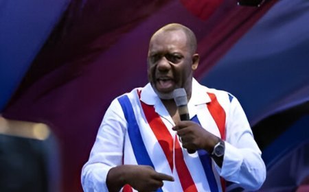 Duty-Free Vehicle Import Program for Nurses to Be Introduced by Bawumia – NAPO