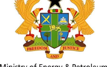 Energy Ministry Urges Parliament to Suspend Review of ECG-NEDCo Merger Bill