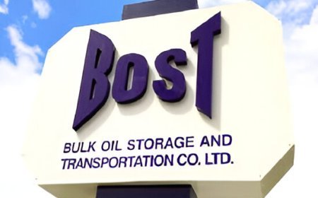 Accused Discharged in Alleged $3M BOST Scandal Protest Case
