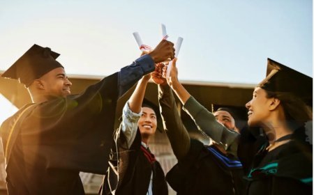 Swedish Institute Scholarship 2025 for Global Professionals