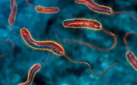 GHS Says COVID-19 Protocols Must Be Observed to Prevent Cholera Spread in Ghana