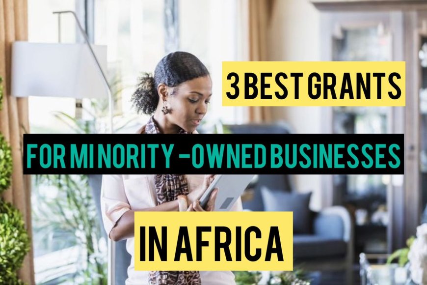 3 Best Grants For Minority Owned Businesses In Africa