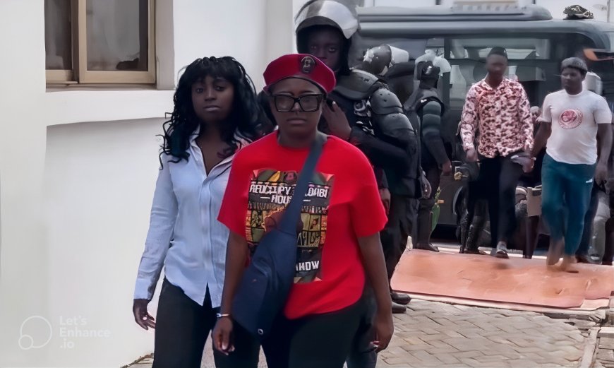 Accra High Court grants Ama Governor and Eight Others Bail in Galamsey Protest Case