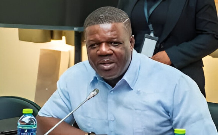 EC Has No Power to Disqualify Joana Cudjoe – Dafeamekpor