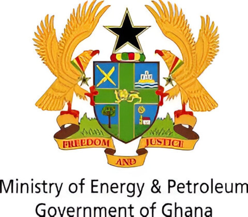 Energy Ministry Urges Parliament to Suspend Review of ECG-NEDCo Merger Bill