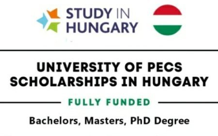 The University of Pecs is Offering Fully Funded Scholarships to International Students
