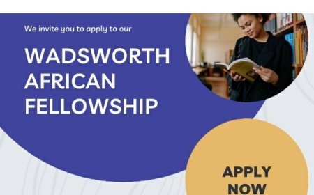 The Wadsworth African Fellowship is Offering Scholarships to African Students