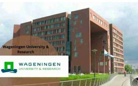 Wageningen University Scholarships for African Students 2025