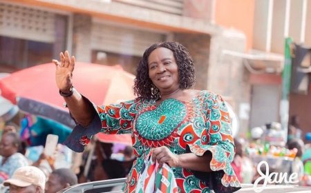 Professor Jane Opoku-Agyeman Warns Volta Will Suffer Like NPP’s Strongholds If NPP Wins