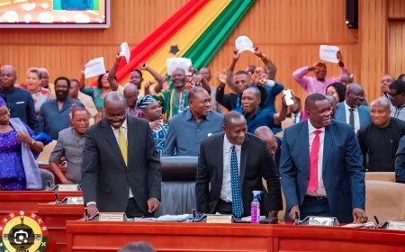 NDC MPs Occupy Majority Side in Anticipation of NPP Caucus Arrival