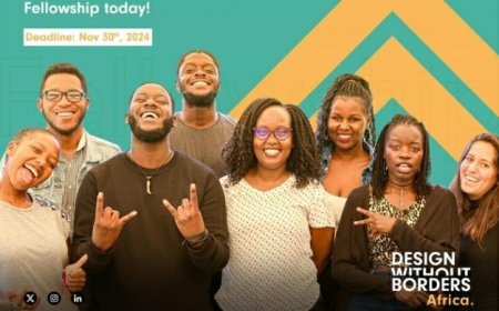 DESIGN WITHOUT BORDERS (DWB) African Fellowship Program