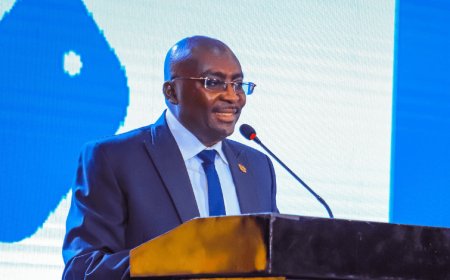 Dr. Mahamudu Bawumia Promises Solar Farms to Lower Electricity Bills by 50%