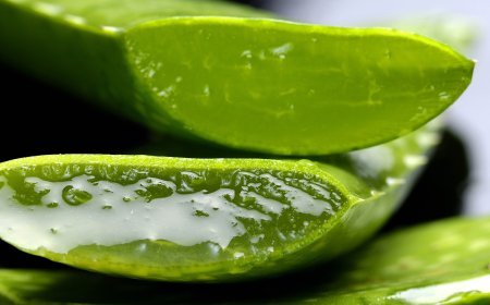 3 Incredible Secret Benefits of  Aloe Vera for Hair Growth