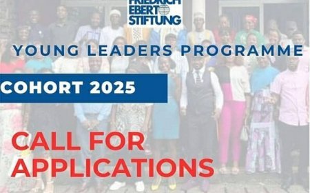 The Friedrich Ebert Stiftung (Fes) Young Leaders Training Program for 2025