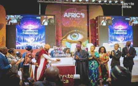 Apply Now: The Elevate African Fellowship