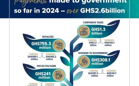 Gold Fields Contributes Over GHS2.6 Billion to Ghana in 2024