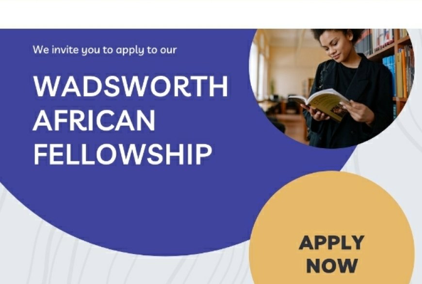 The Wadsworth African Fellowship is Offering Scholarships to African Students