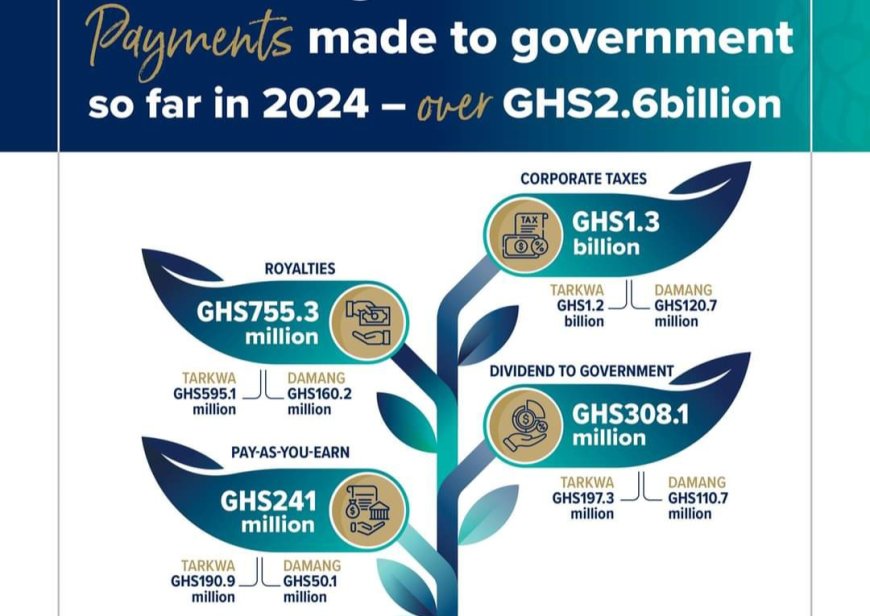 Gold Fields Contributes Over GHS2.6 Billion to Ghana in 2024