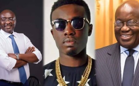 People Begged You To Fix The Country But You Told Them To Fix Themselves- Criss Waddle Fires Akuffo-Addo And NPP