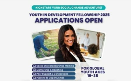 Impact Toolbox Youth In Development Fellowship 2025