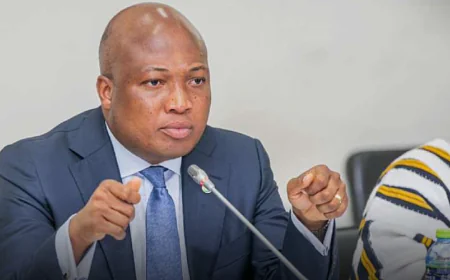 Ablakwa: Ghana to Process Visa Applications Within Five days